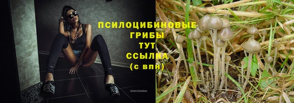 Альфа ПВП Магадан