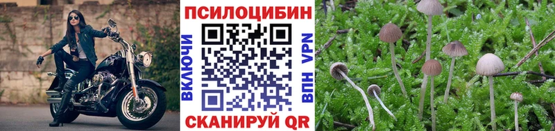 где купить Югорск Галлюциногенные грибы прущие грибы