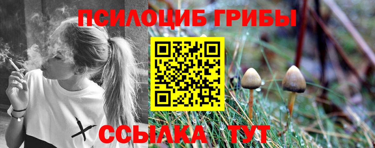 Галлюциногенные грибы Magic Shrooms Югорск